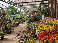 Twenty Pence Garden Centre outside