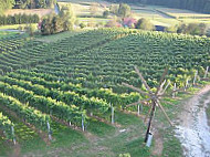 Weingut Buschenschank Hiden Hoellerhansl inside