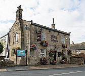 Fox Hounds outside