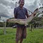 Pesque Pague Aguá Marine food