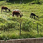 Rifugio Boschetto inside