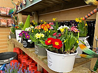 White Elm Garden Centre And Tearoom inside