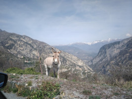 Aubergerie Del Campo outside