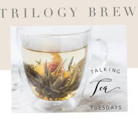 Trilogy Brew food