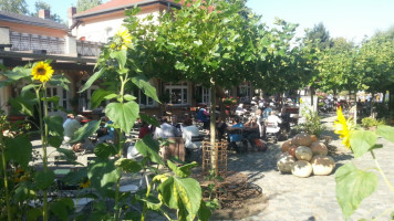 Zum Grunen Strand Der Spree food