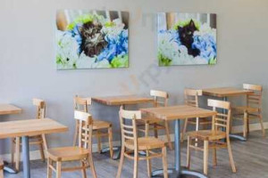 Frisky Cat Cafe inside