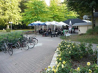 Weinbrunnen Im Kurpark