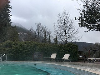 Mountain Flowers at Fairmont Hot Springs Resort