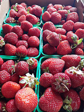 Bayfield Berry Farm