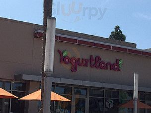 Yogurtland Marina Del Rey