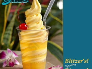 Blitzer's Premium Frozen Yogurt