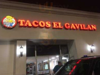 Tacos El Gavilan