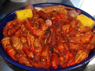 Mud Bugs