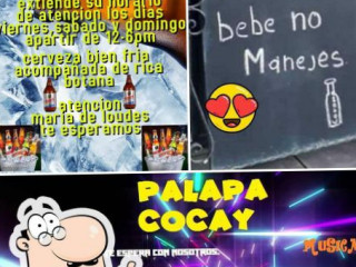 Palapa Cocay