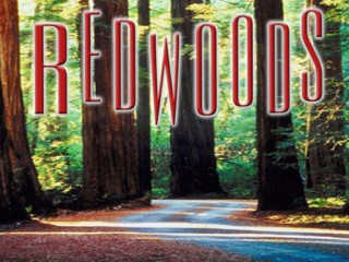 Redwoods