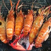 กุ้งตะกร้าเศรษฐี สาขาบางบัวทอง