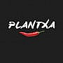 La Plantxa