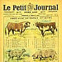 Le Petit Journal