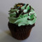 Mint Chocolate Cupcake