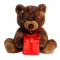 Christmas Surprise Bear