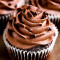 Choco Chips Cupcake 4 Ps