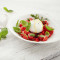 Burrata E Pomodori (Vegetarisch)